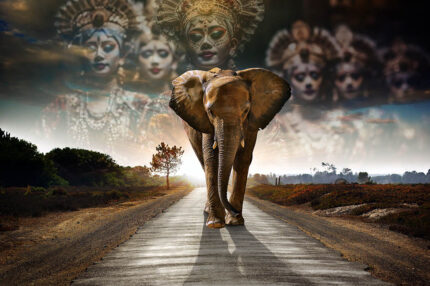 Fantastik Yolda Yürüyen Yalnız Fil poster