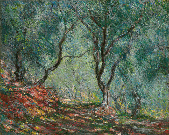 Yağlı Boya Zeytin Ağaçları - Orman poster