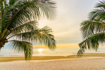 Palmiyelerin Arasından Deniz ve Kumsal