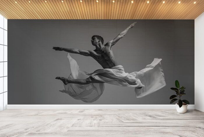 Balet performans poster duvar kağıdı