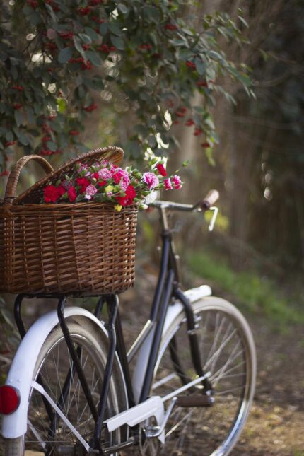 Bisiklet ve sepette çiçekler poster duvar kağıdı