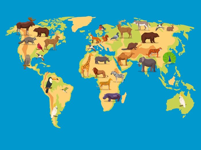 Dünya haritası ve hayvanlar poster duvar kağıdı